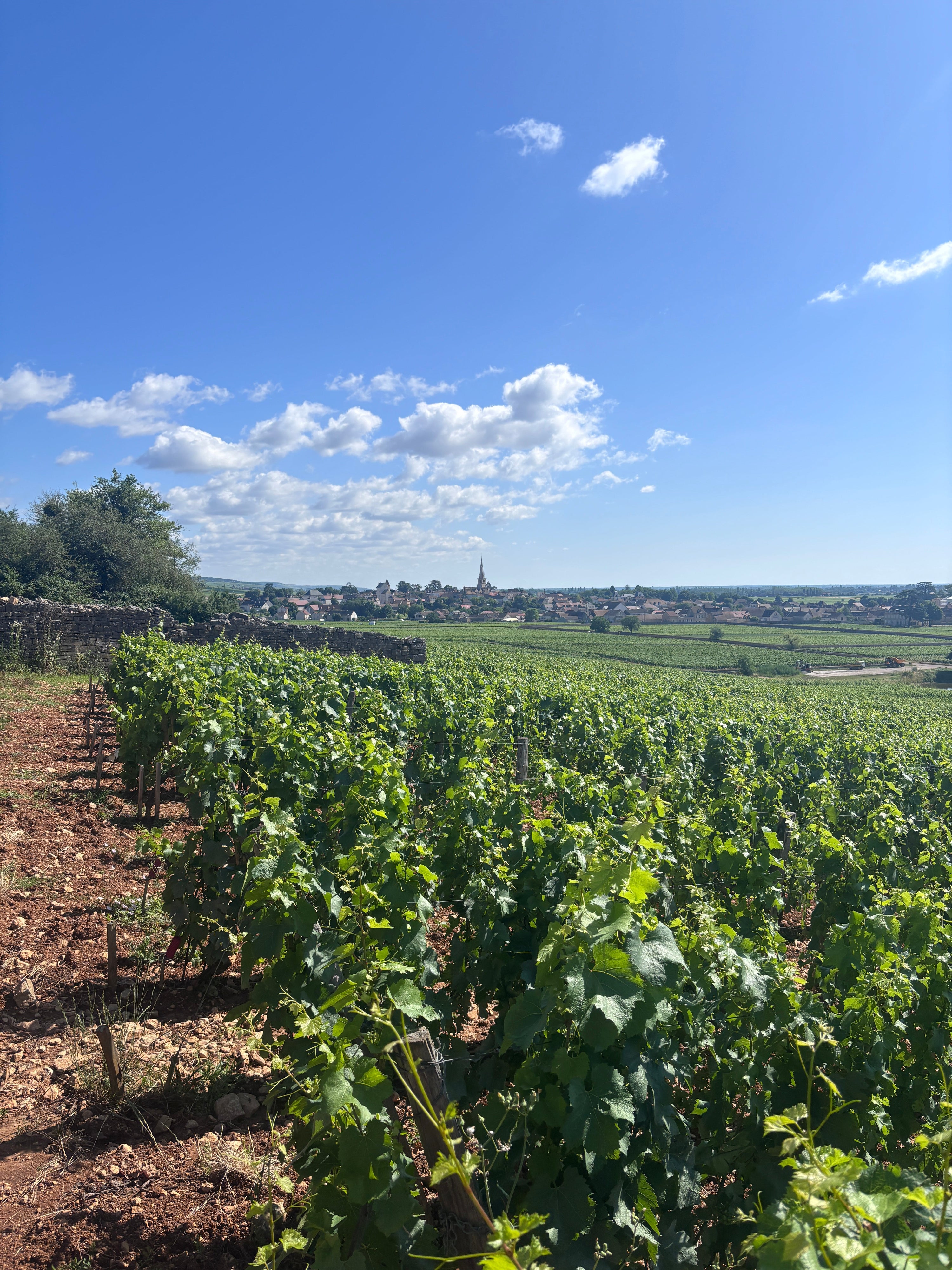 Domaine Roulot