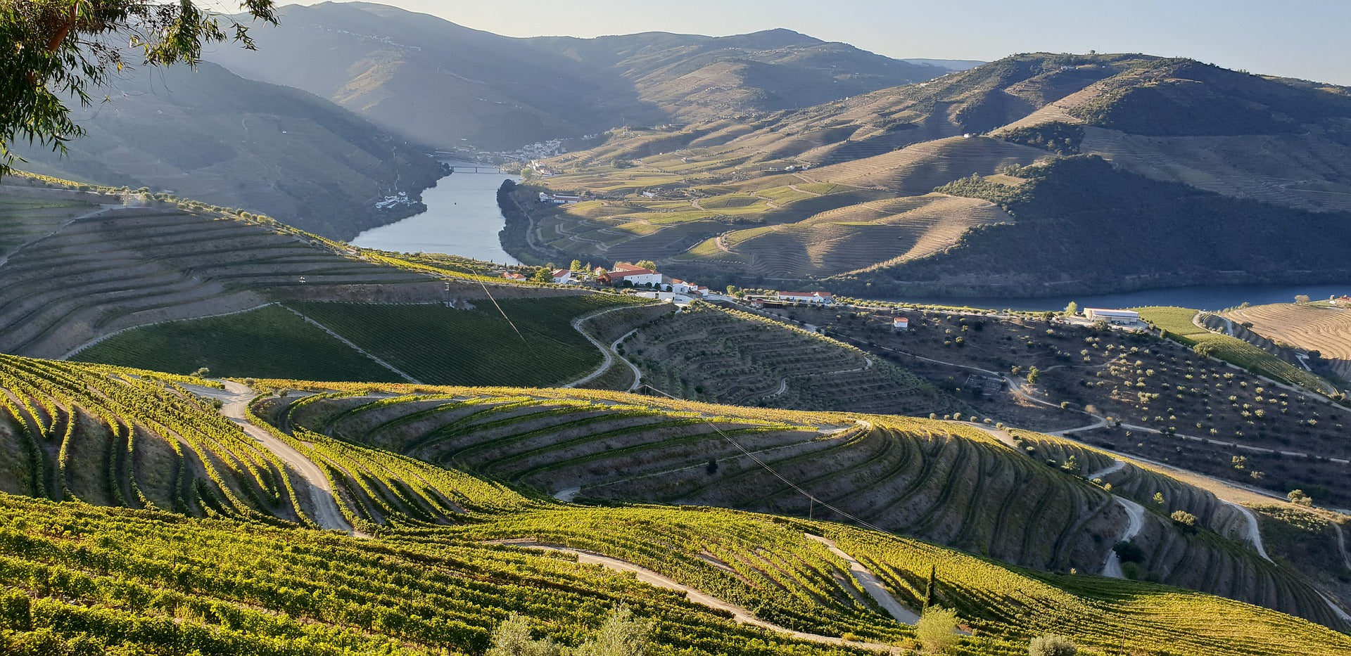 Pormenor, Douro