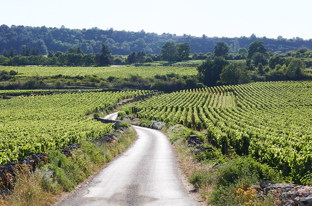 Domaine des Thyades