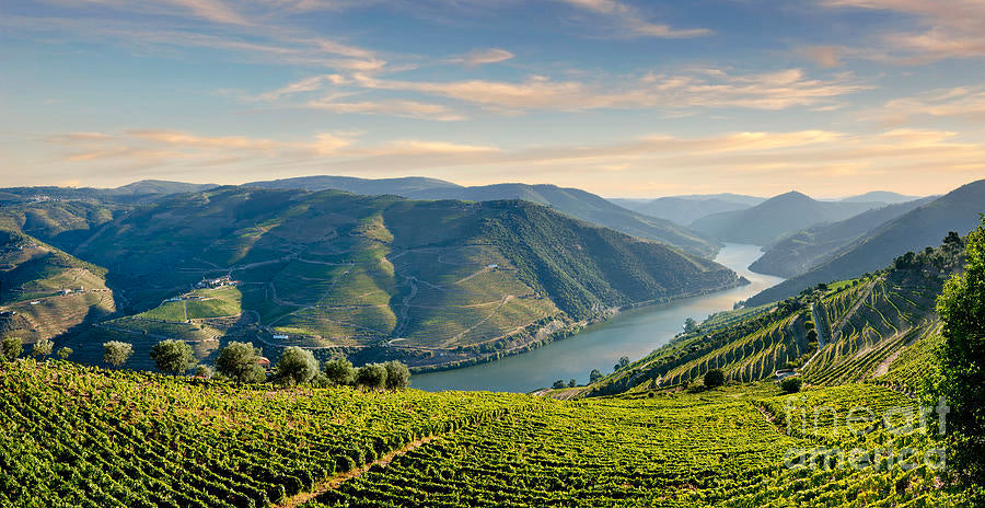 Douro