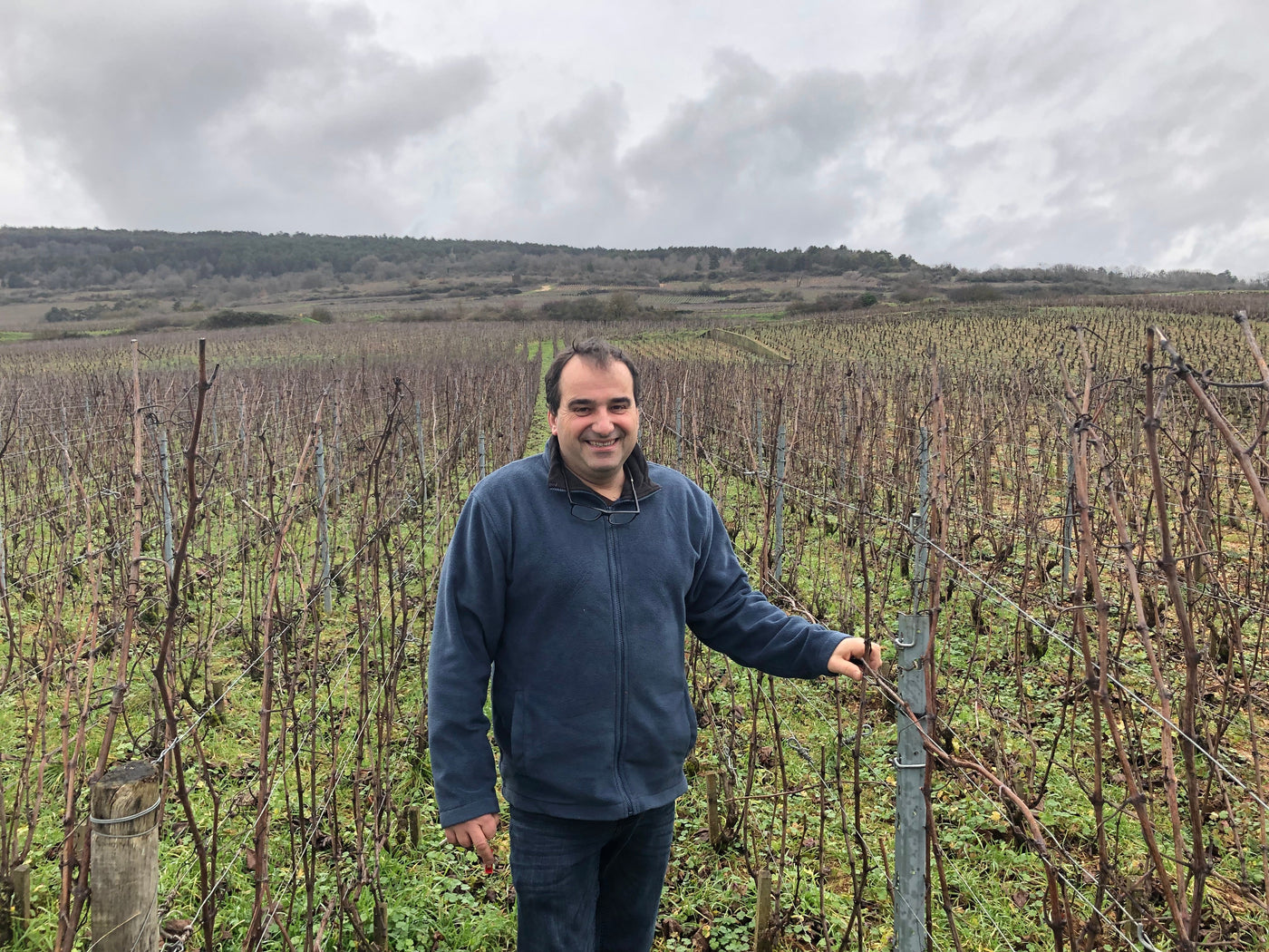Domaine Jean-Marc Vincent