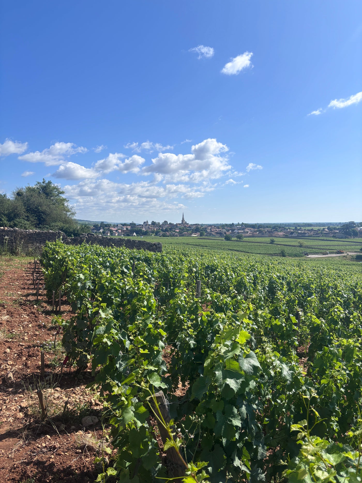 Domaine Roulot