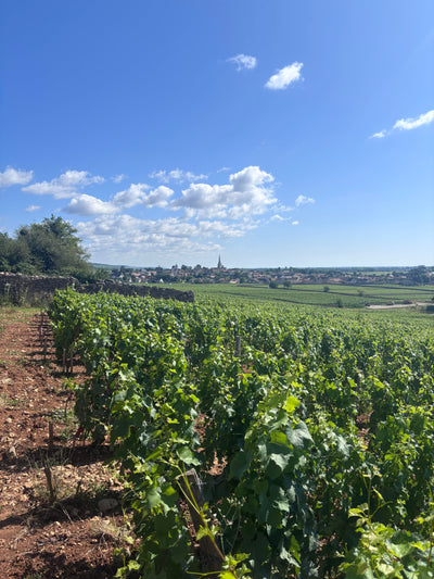 Domaine Roulot