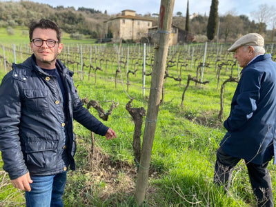 Fattoria di Sammontana