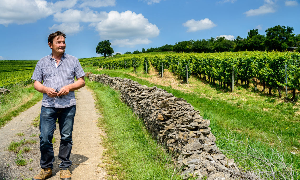 Dominique Lafon