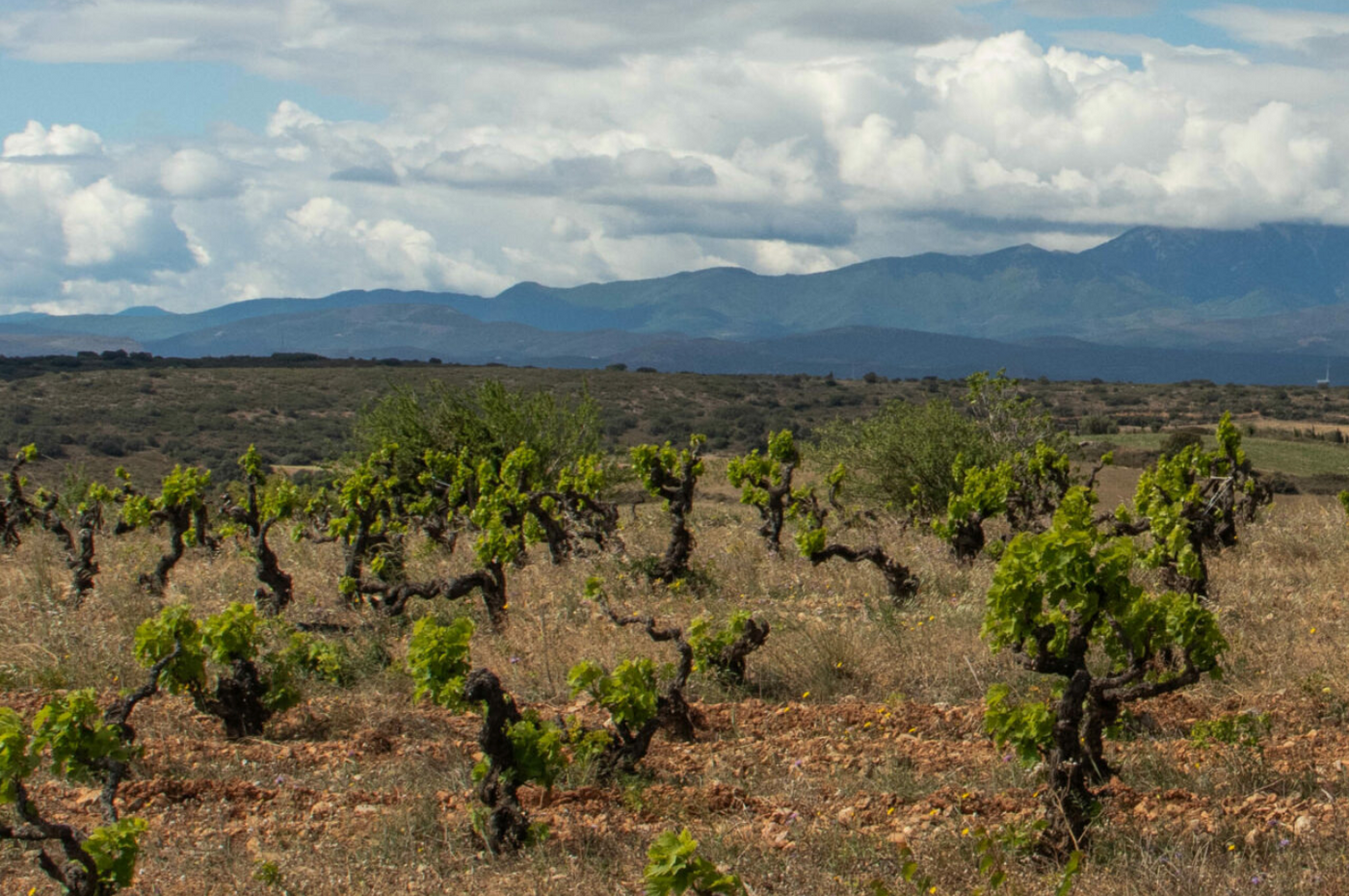 Domaine de l'Horizon