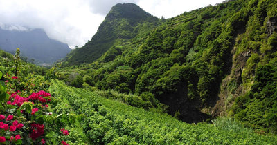 Madeira