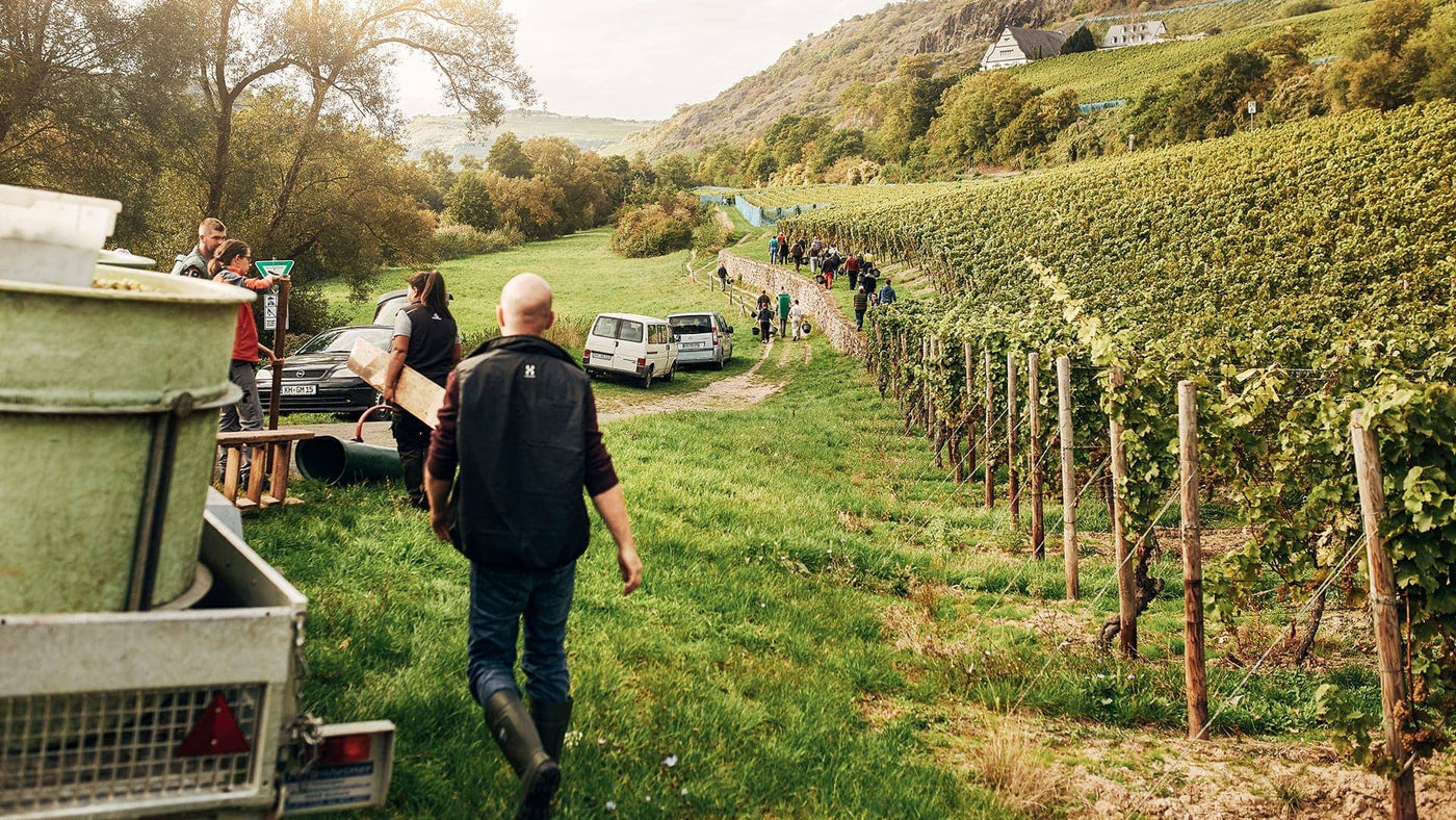 Weingut Dönnhoff