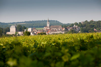 Domaine Dureuil-Janthial