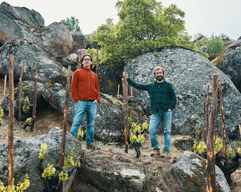 Winemaker&