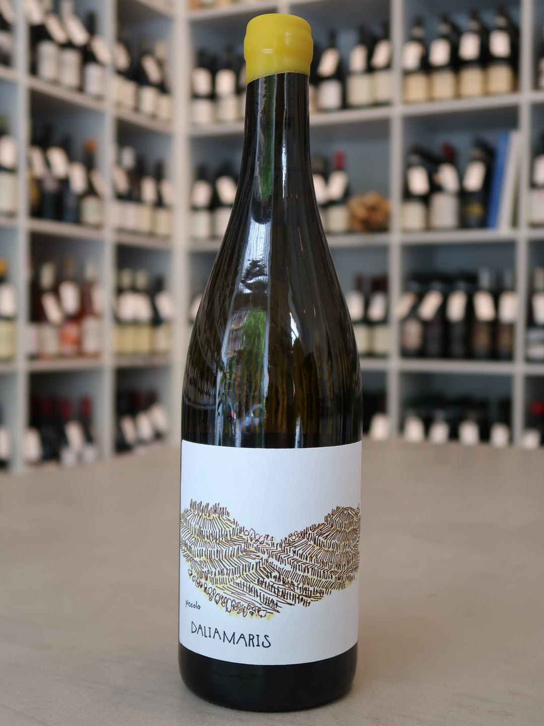 Dalia Maris, Piccolo 2022