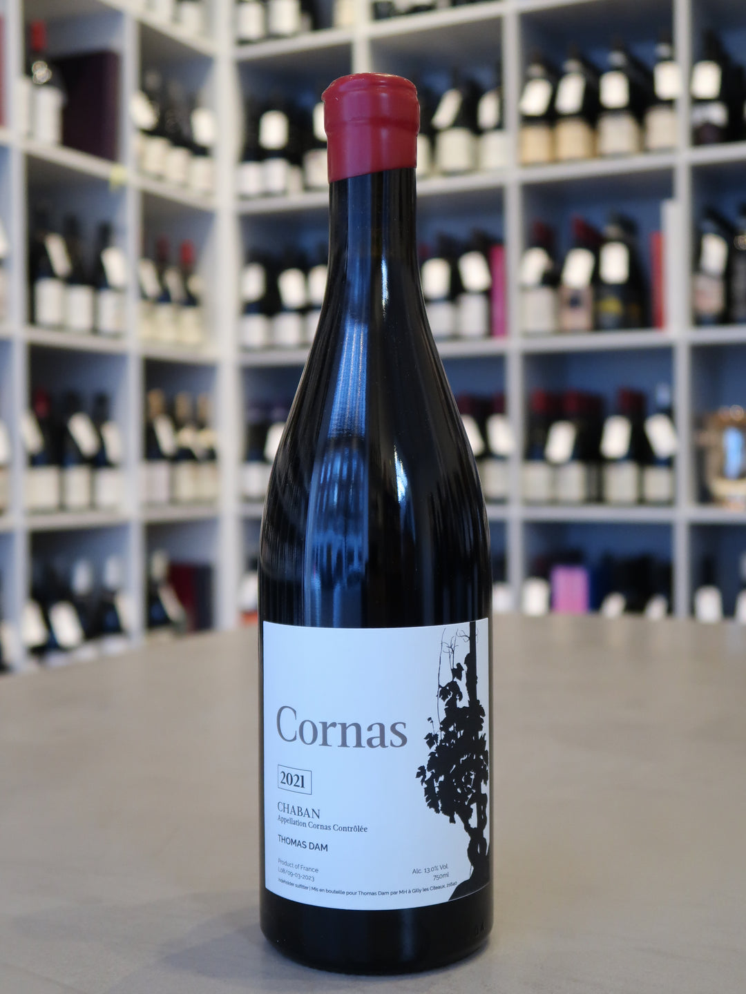 Thomas Dam, Cornas Chaban 2021