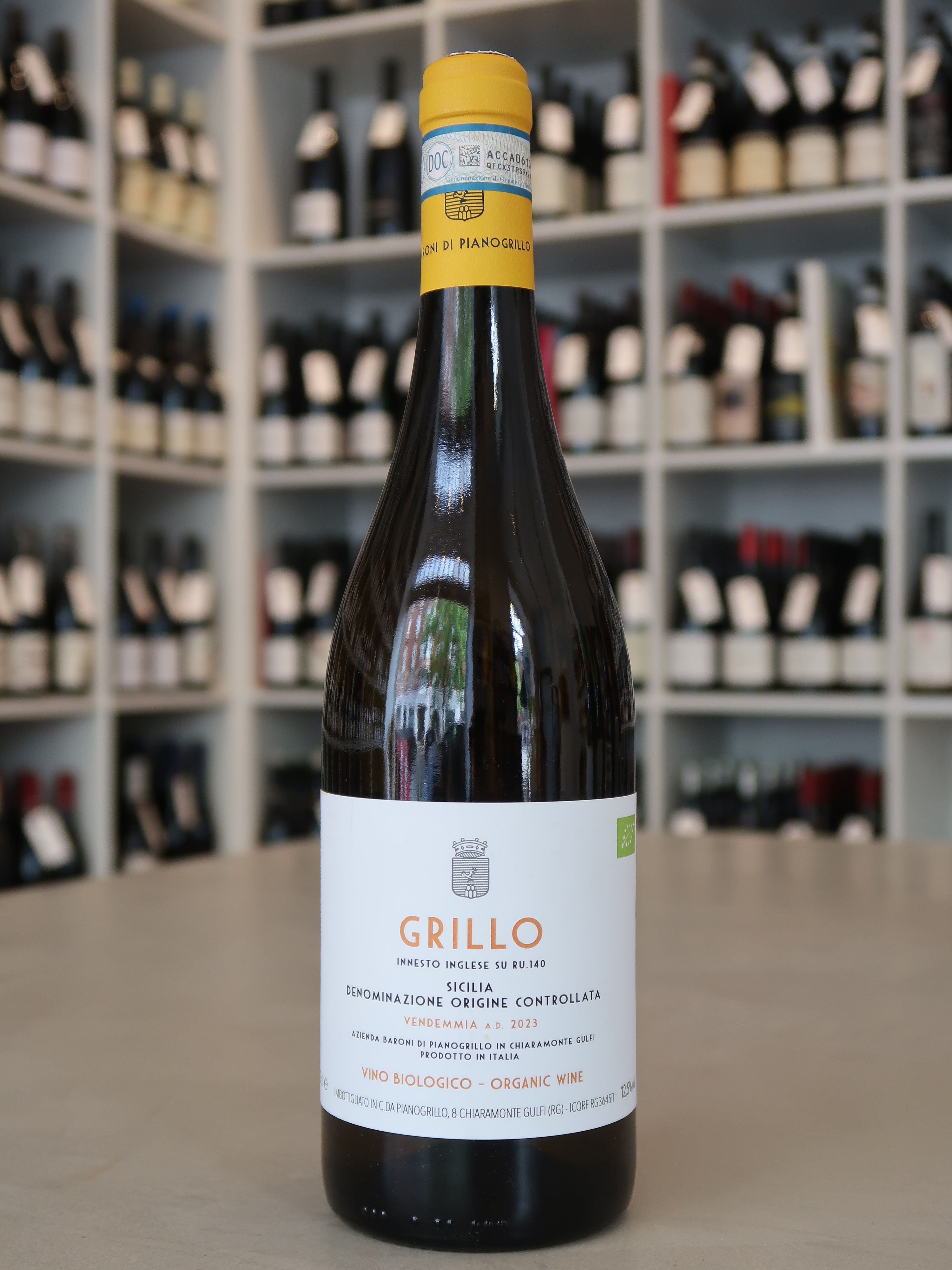 Pianogrillo, Grillo 2023