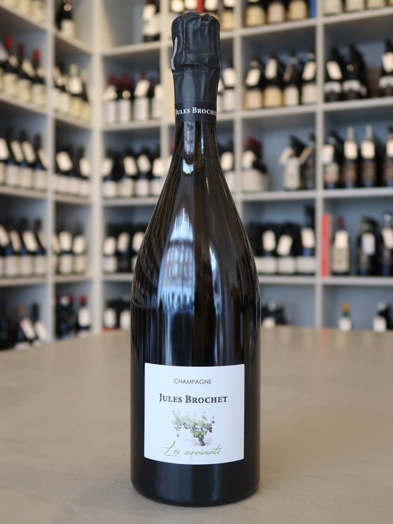Jules Brochet, Les Survivants, Brut 2021