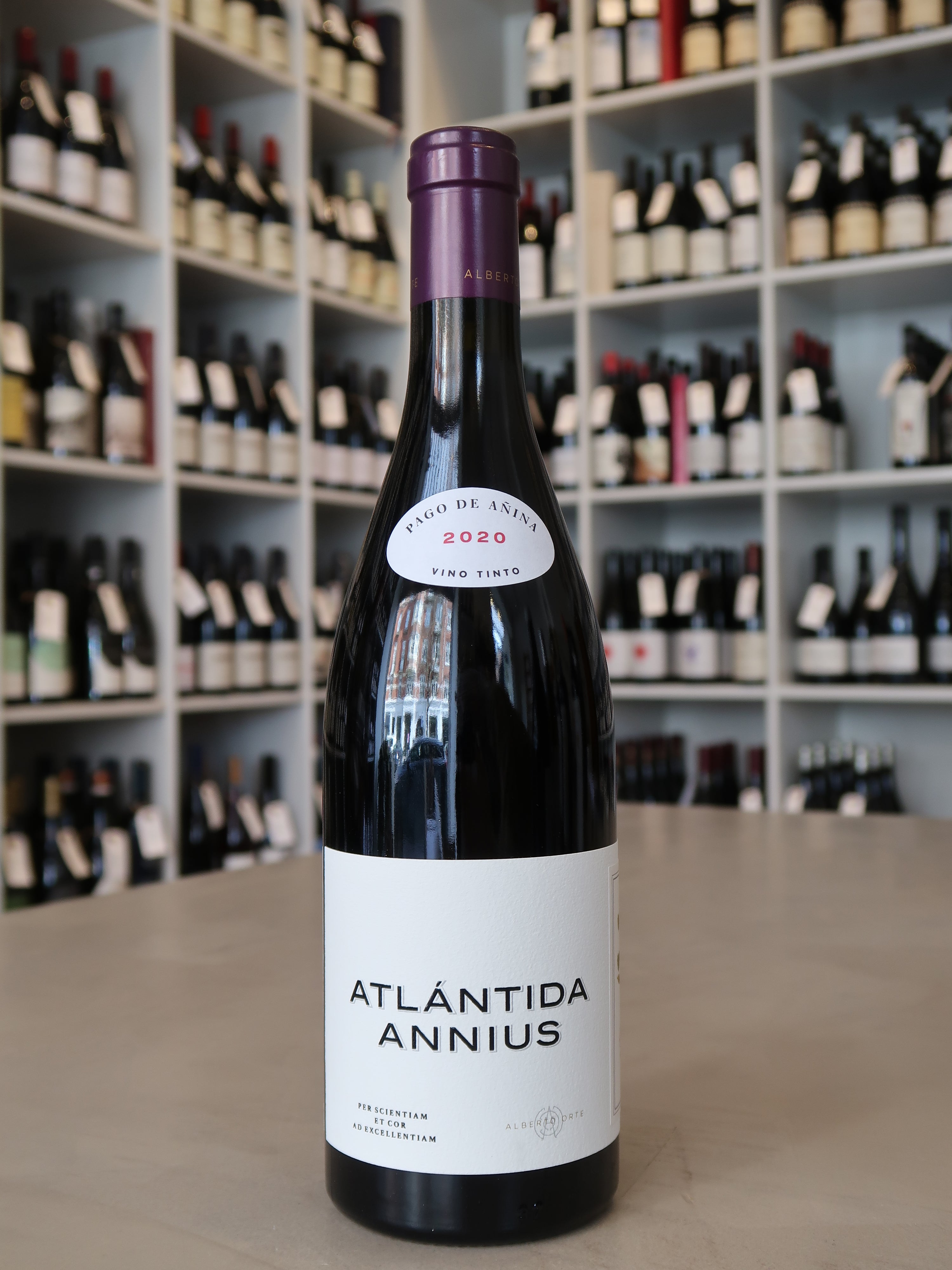 Vinos Atlántico, Atlántida Tinto 'Annius' 2020