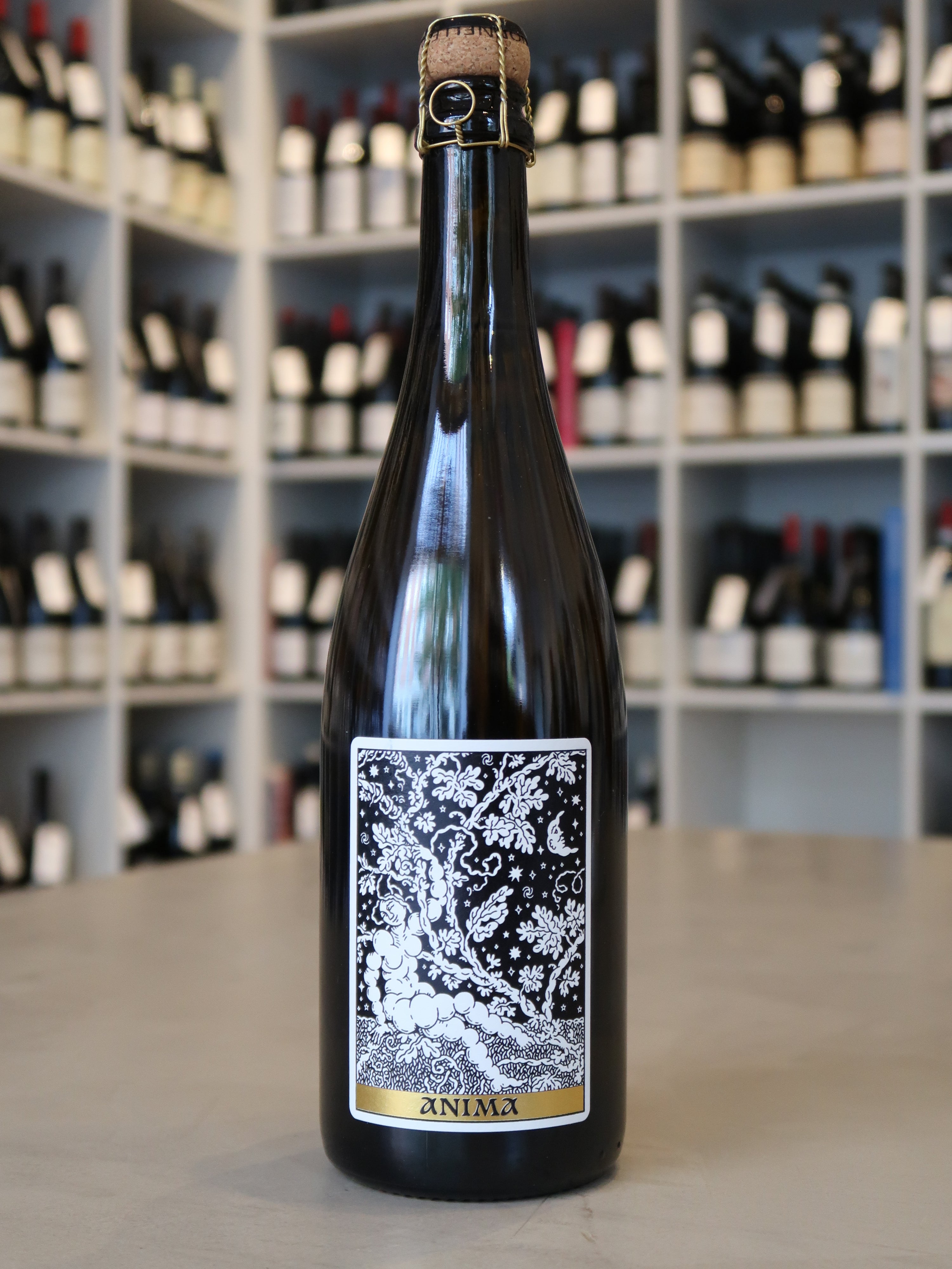 Domaine Frédéric Mabileau, Anima 2023