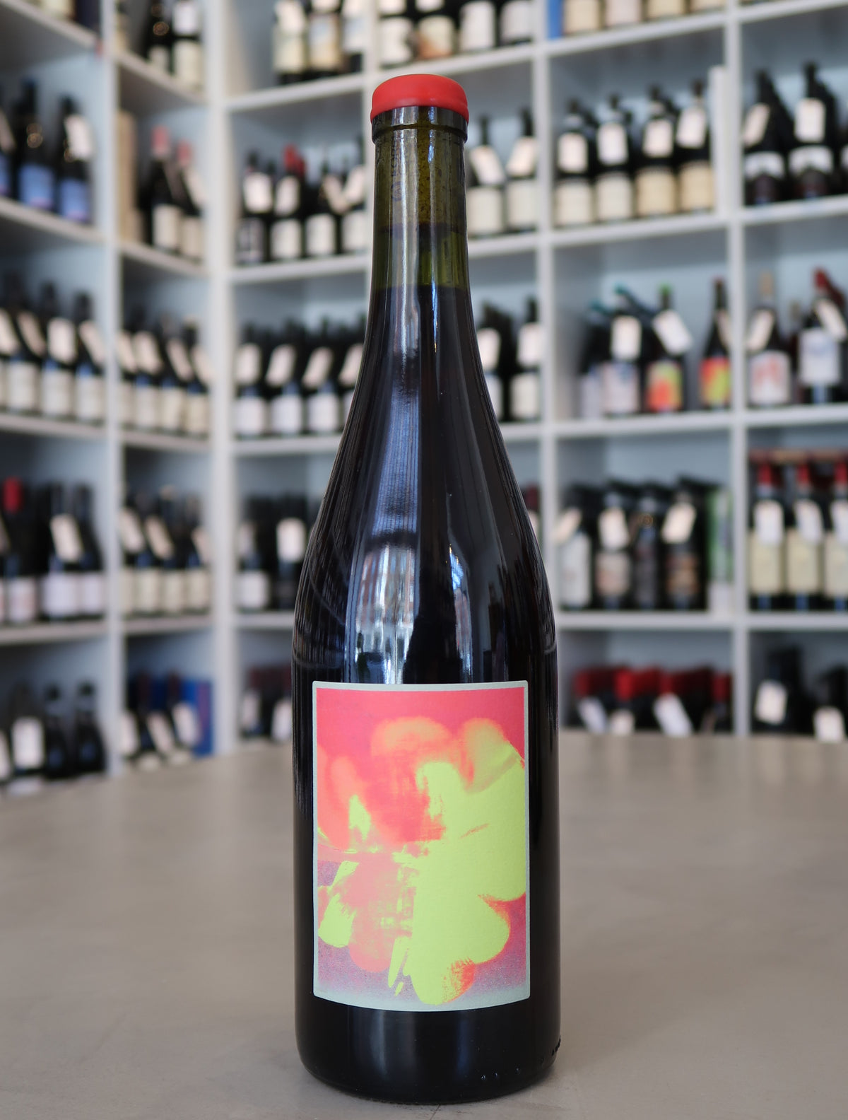 Walter Salvano, Langhe Freisa 2024
