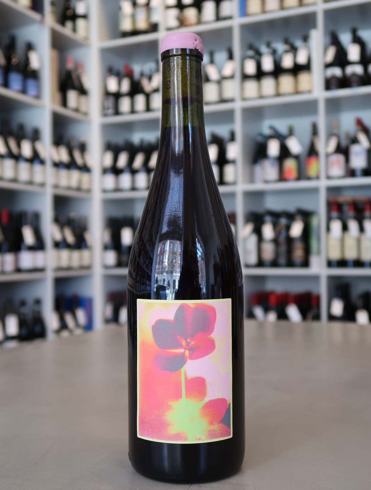 Walter Salvano, Barbera d'Alba 2024
