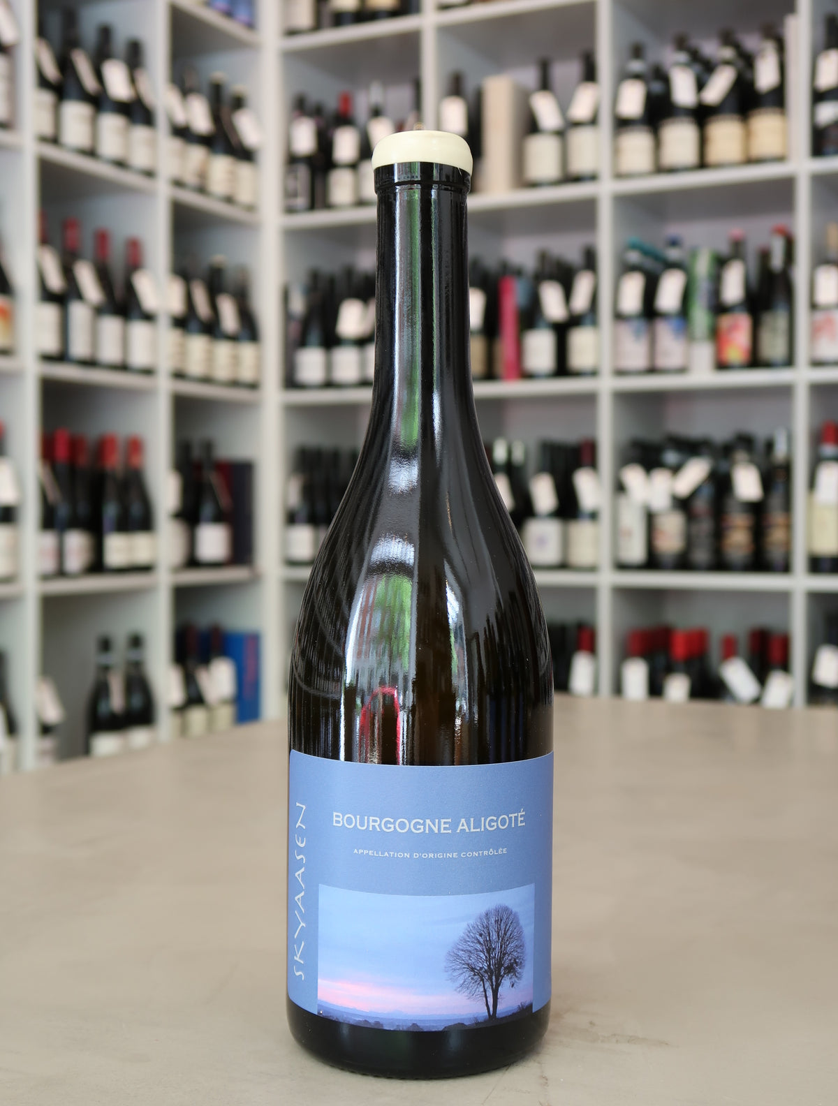 Maison Skyaasen, Bourgogne Aligoté 2024