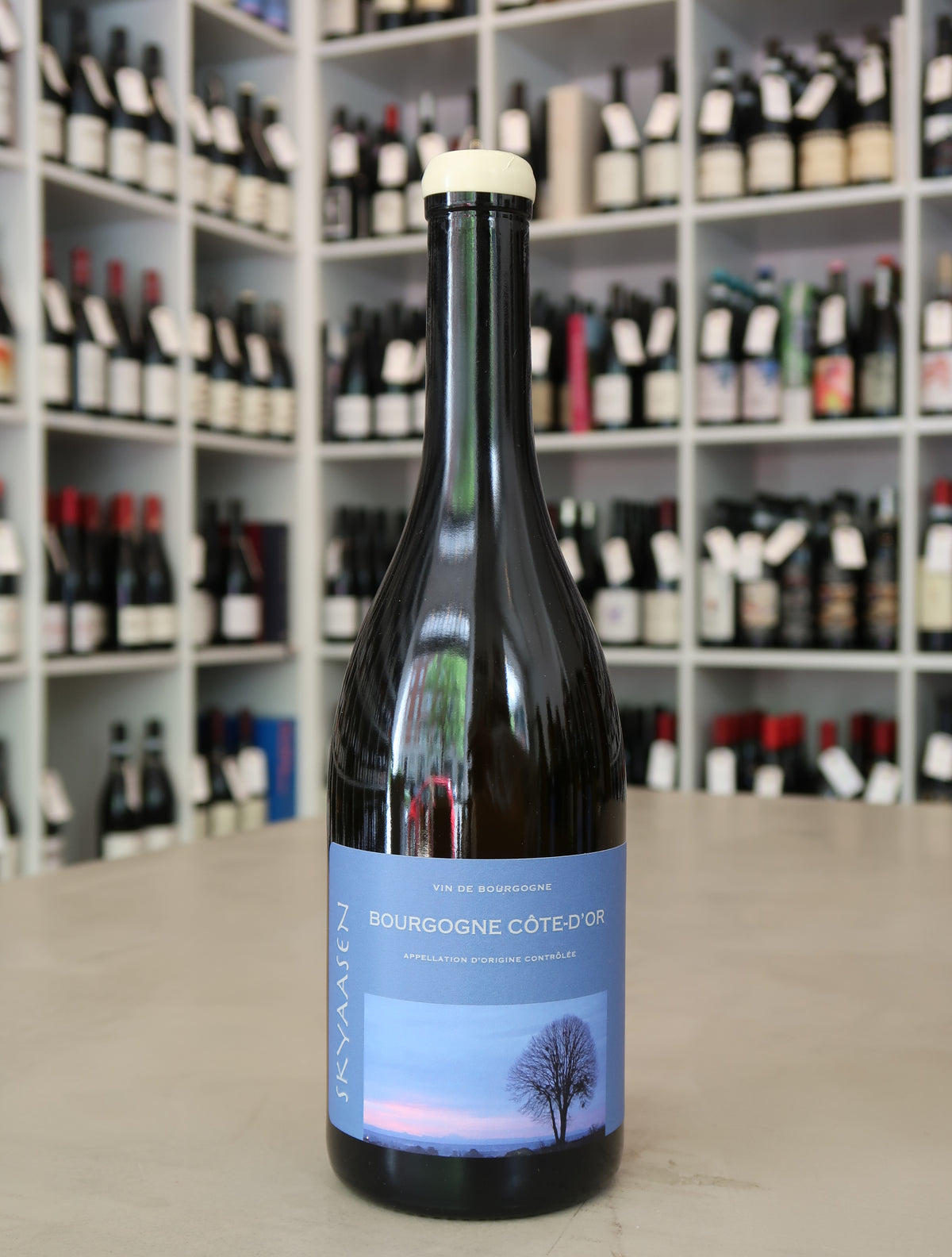 Maison Skyaasen, Bourgogne Côte d'Or Chardonnay 2024