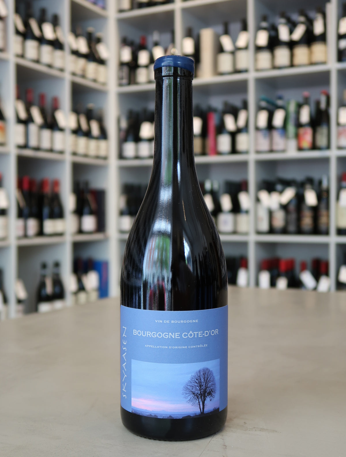 Maison Skyaasen, Bourgogne Côte d'Or Pinot Noir 2024