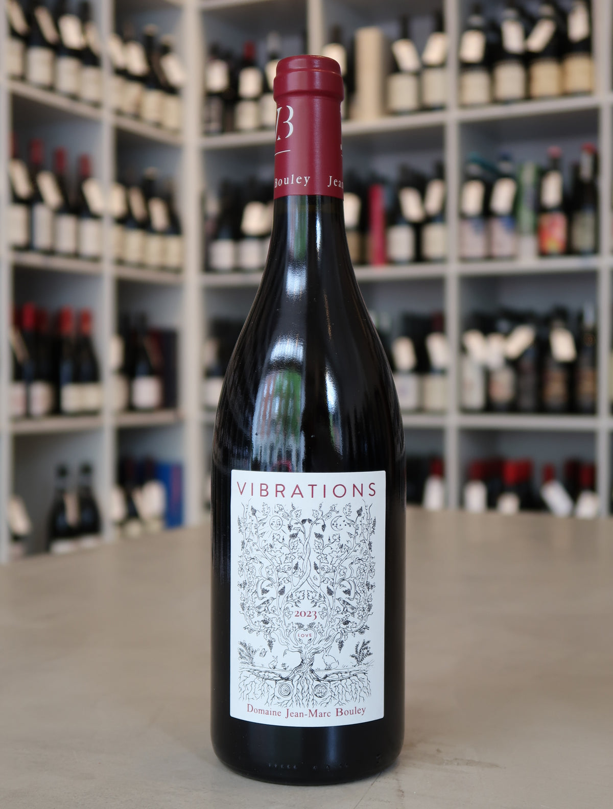 Domaine Jean-Marc & Thomas Bouley, Hautes Cotes de Beaune Vibrations 2023
