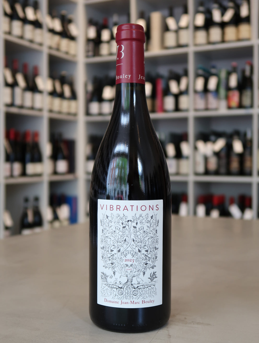 Domaine Jean-Marc &amp; Thomas Bouley, Hautes Cotes de Beaune Vibrations 2023