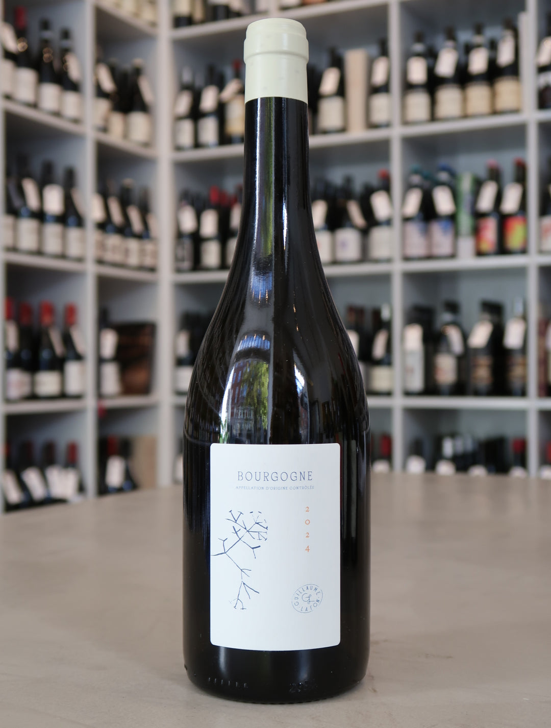 Guillaume Lafon, Bourgogne Blanc 2024