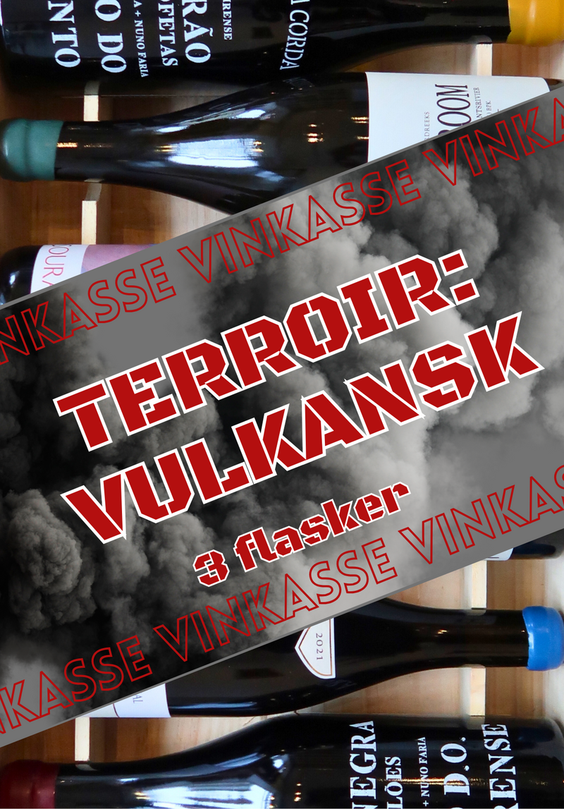 Terroirfokus: Volkansk (3 fl.)